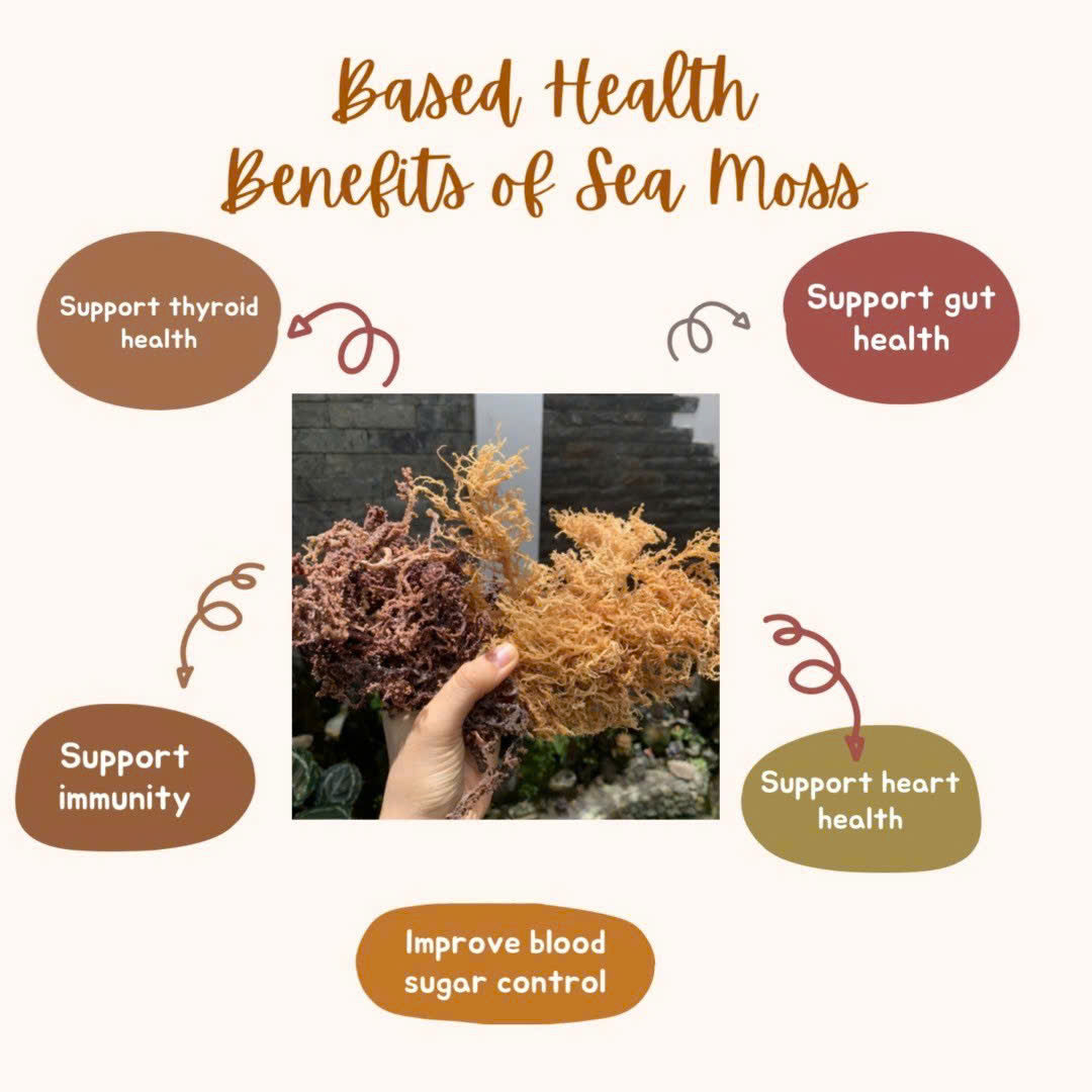 Sea Moss