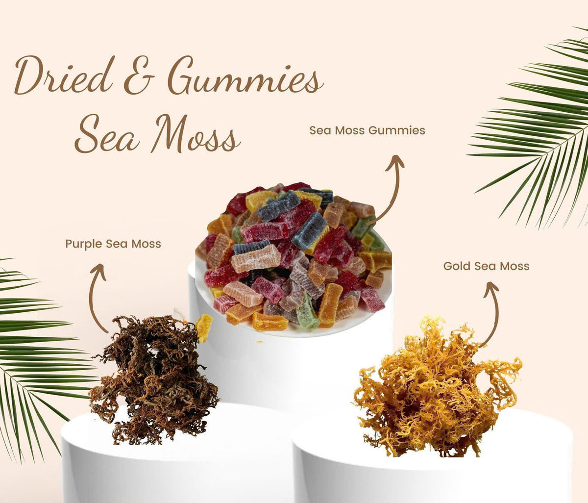 Sea Moss
