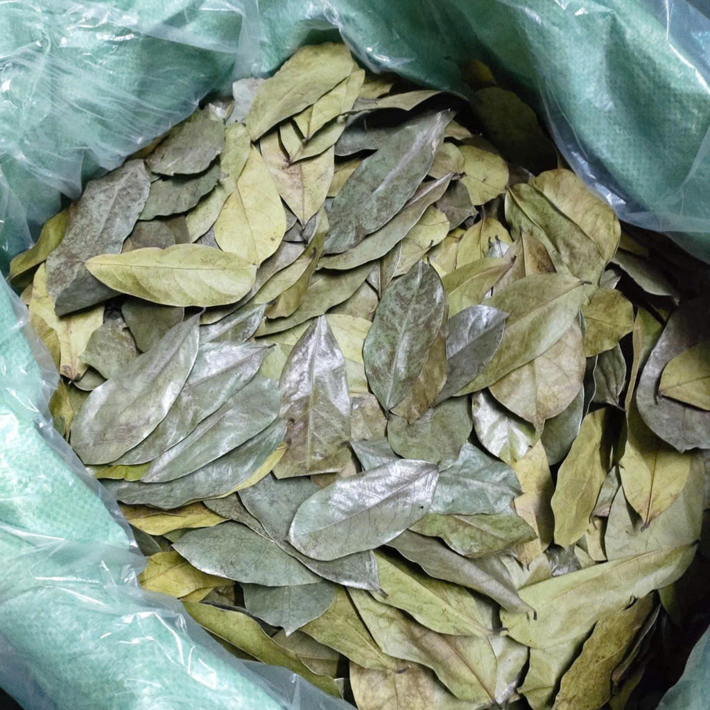 Soursop Leaves