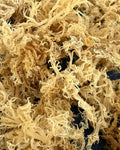 Dried  Sea Moss Gold