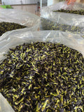 Butterfly Pea Flower