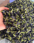 Butterfly Pea Flower