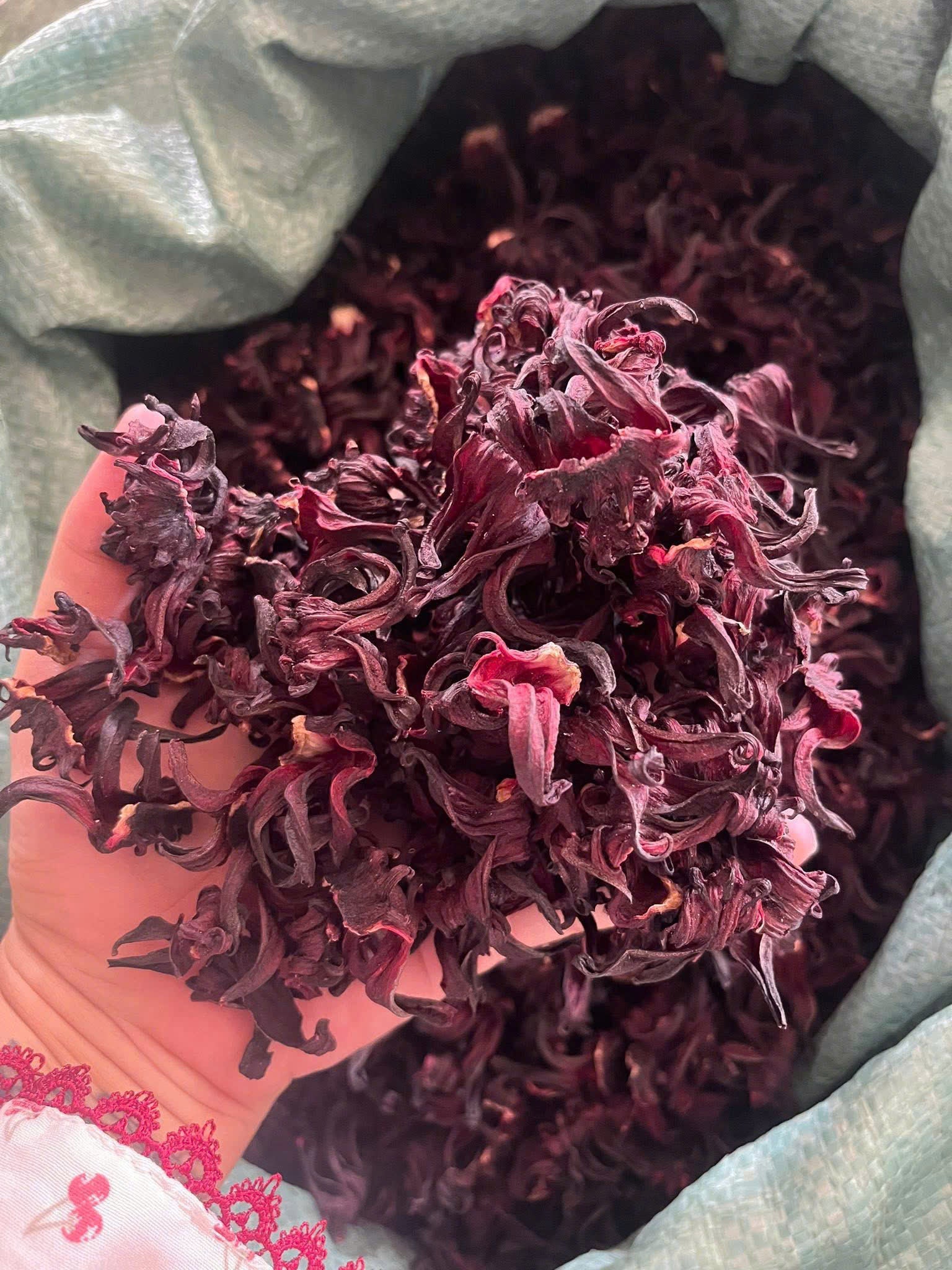 Dried Gold/ Purple Sea Moss