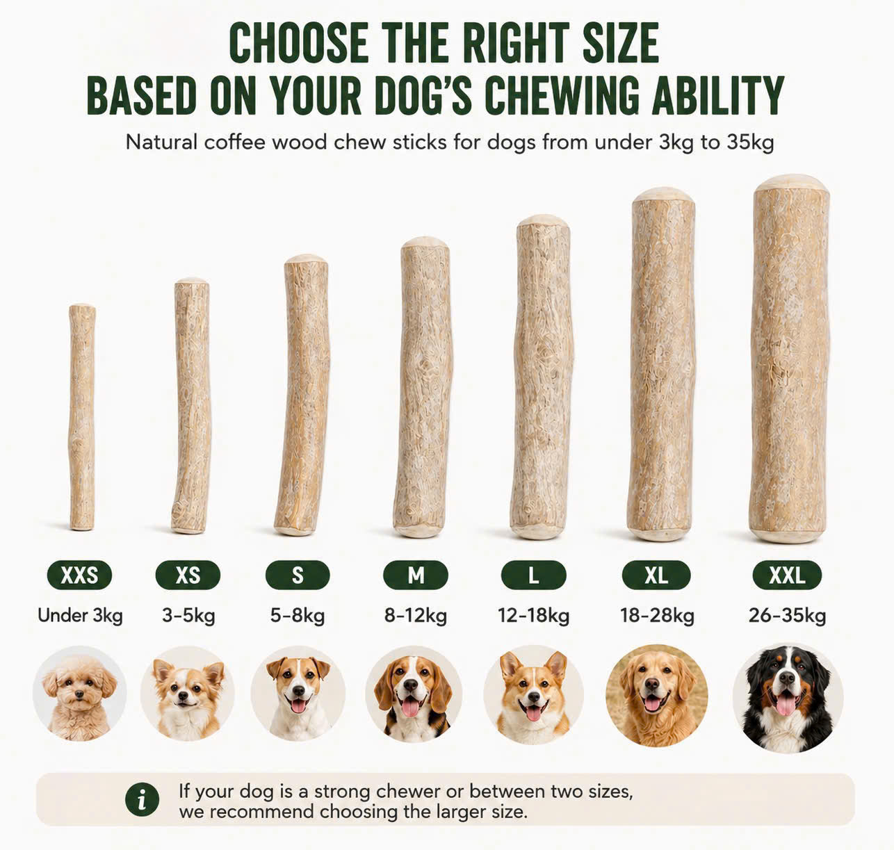 Coffee Wood Chew
