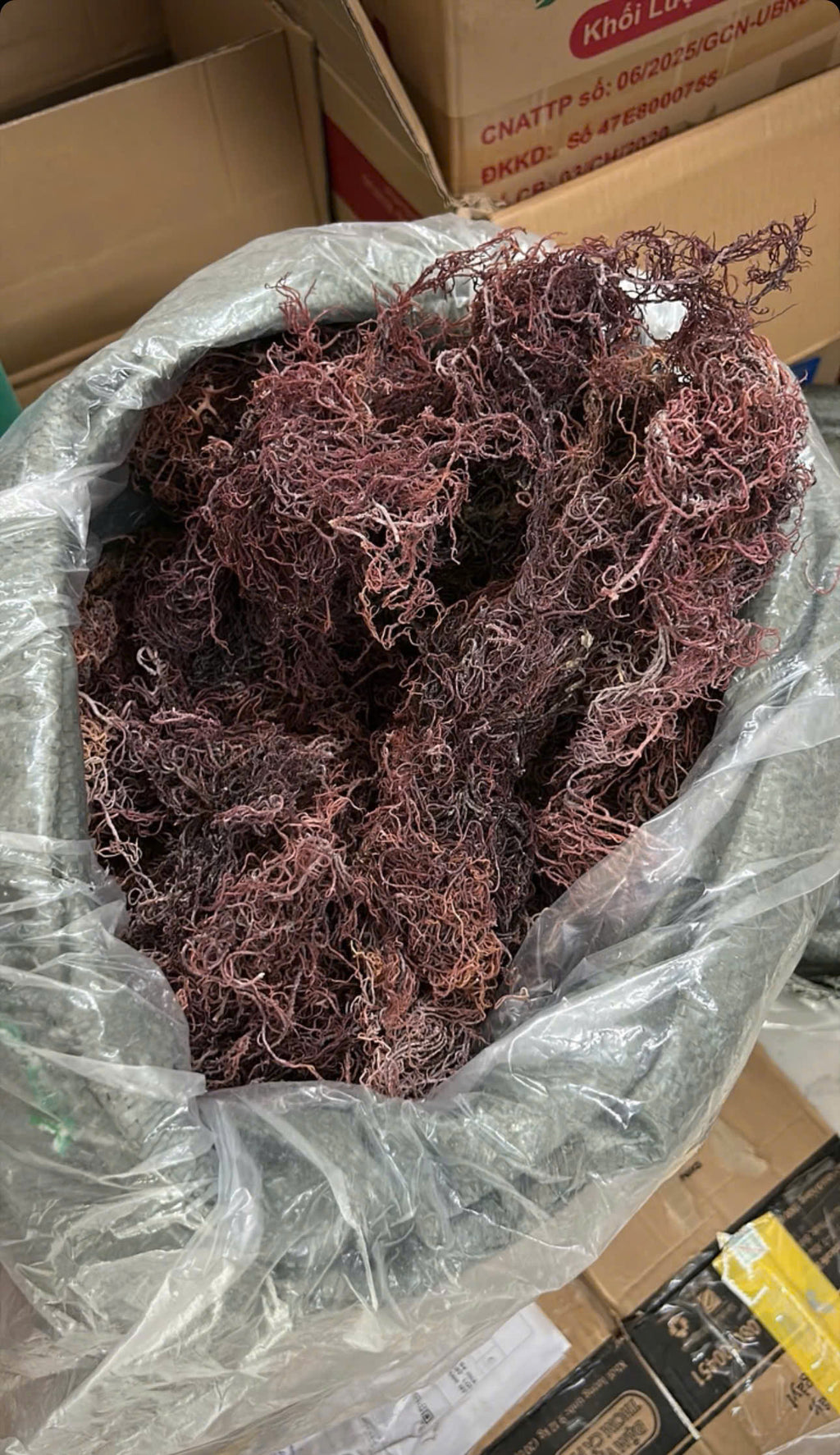 Dried Sea Moss Purple