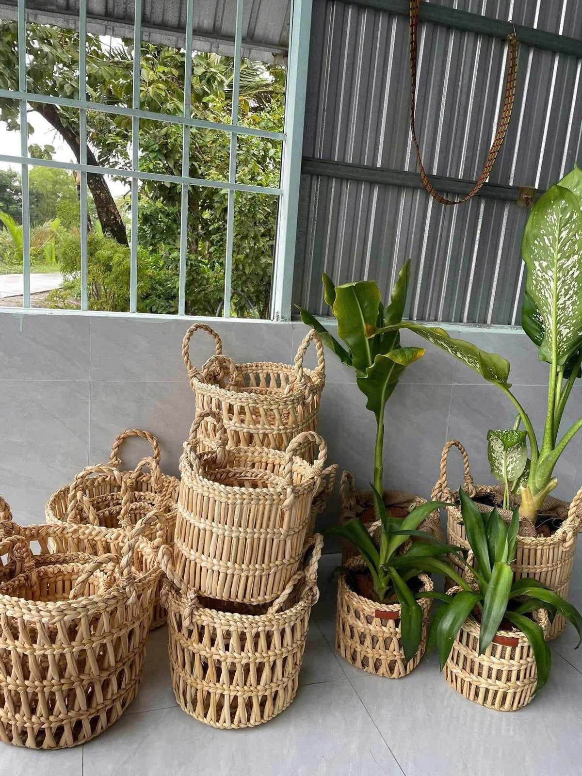 Water Hyacinth Carpet