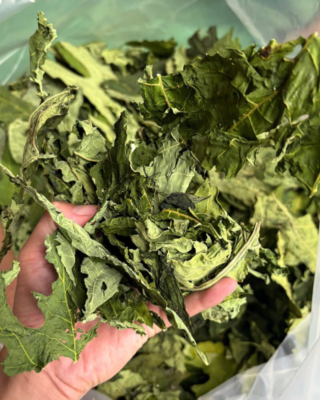 Dried Papaya Leaves