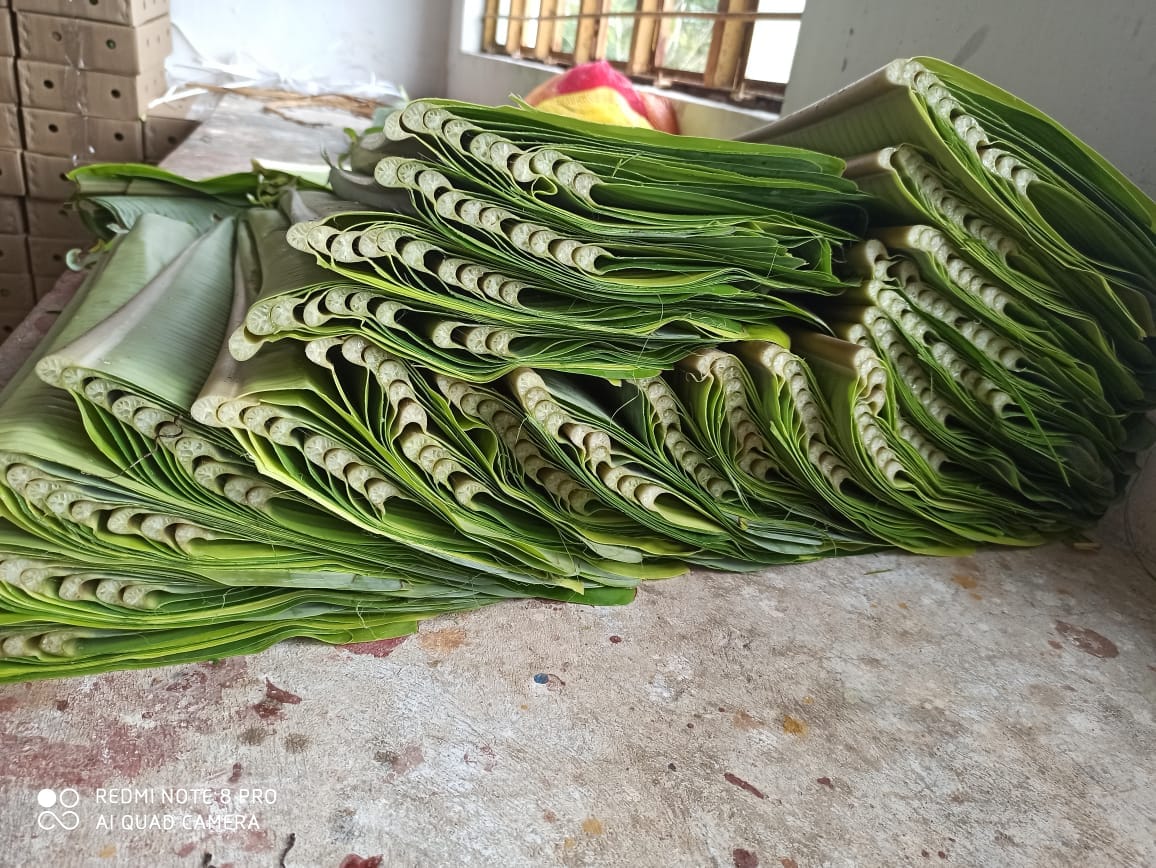 Banana Leaves