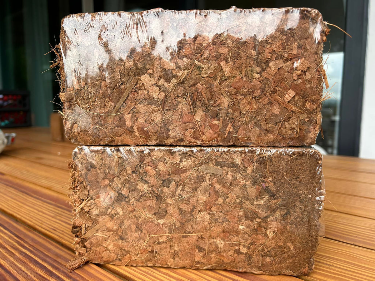 Coconut Husk Chips
