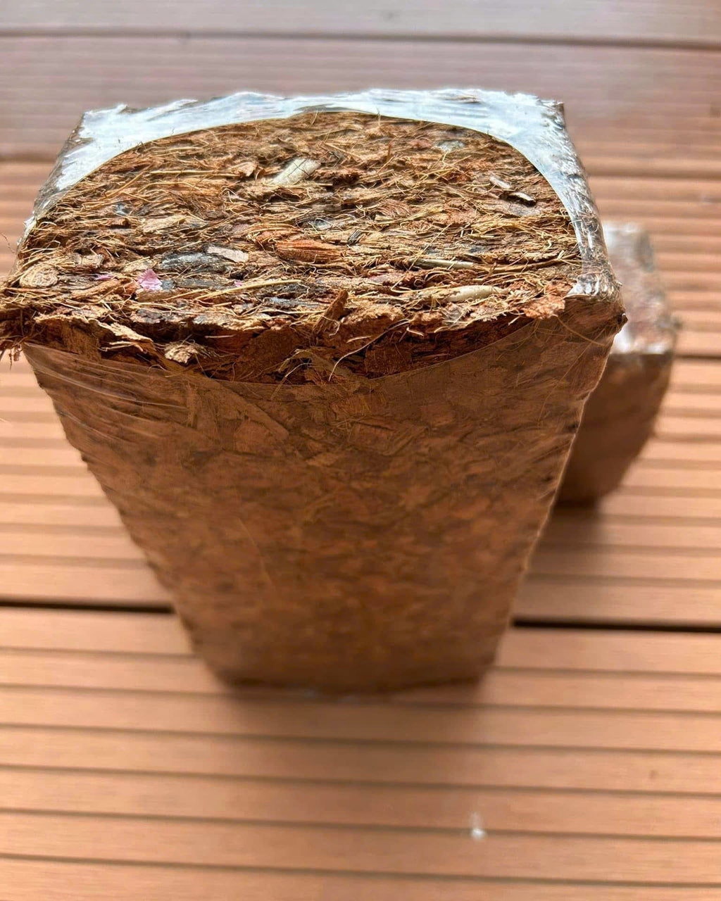 Coconut Husk Chips