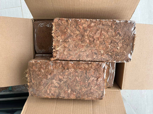 Coconut Husk Chips