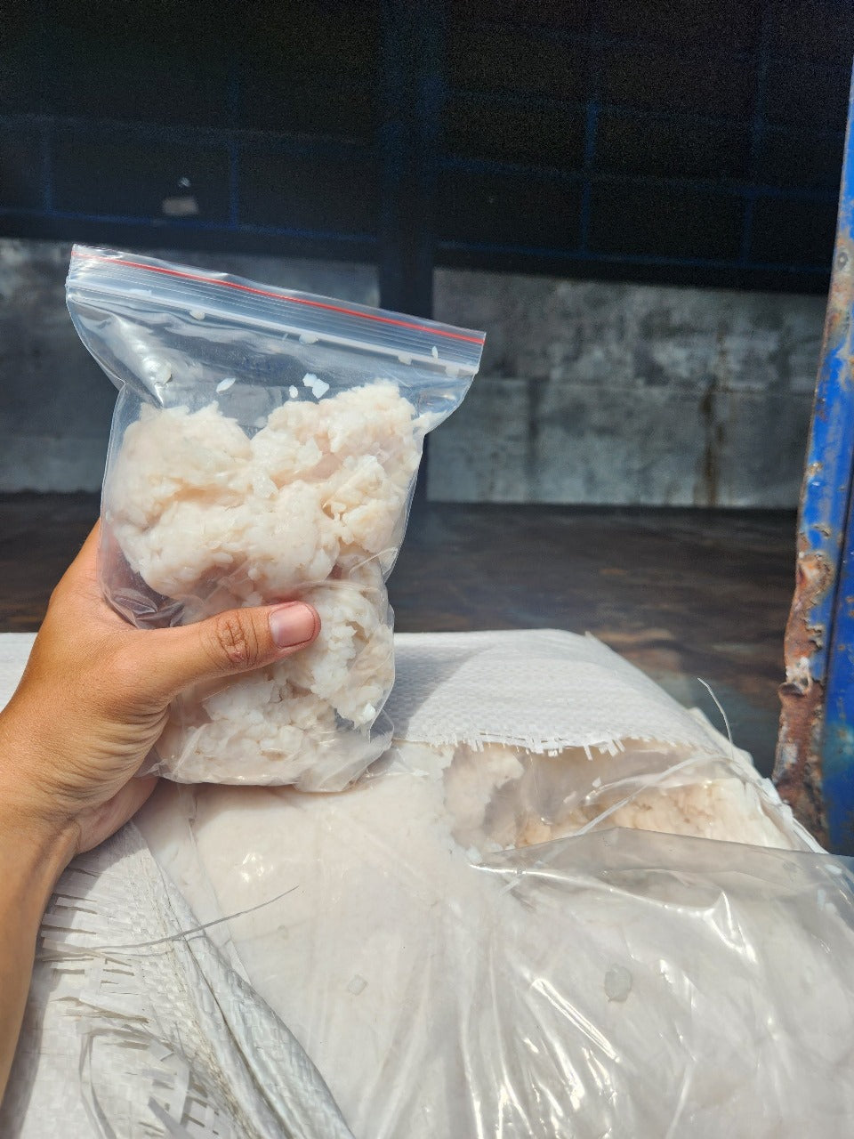 Coconut Jelly