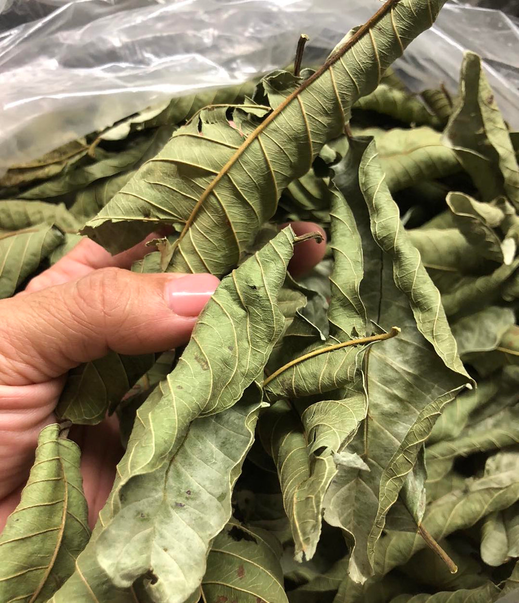 Guava Leaves