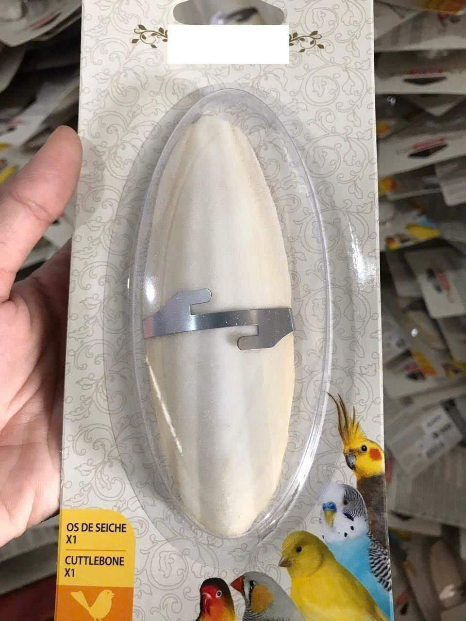 Cuttlefish Bone