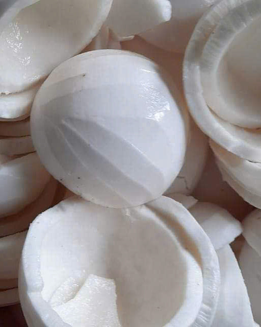 Frozen Coconut Meat