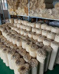 Rattan Webbing Cane
