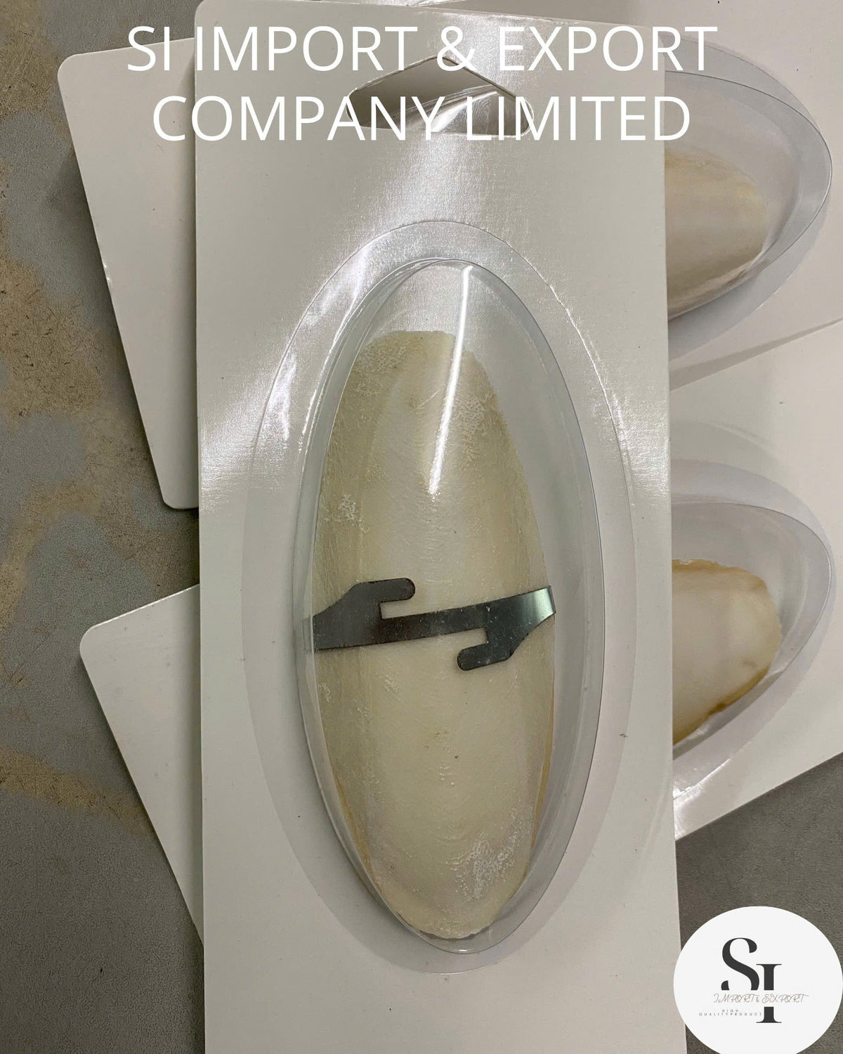 Cuttlefish Bone