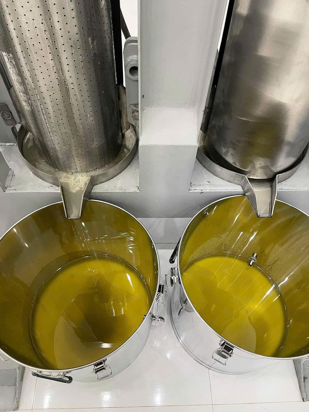Sacha Inchi Oil