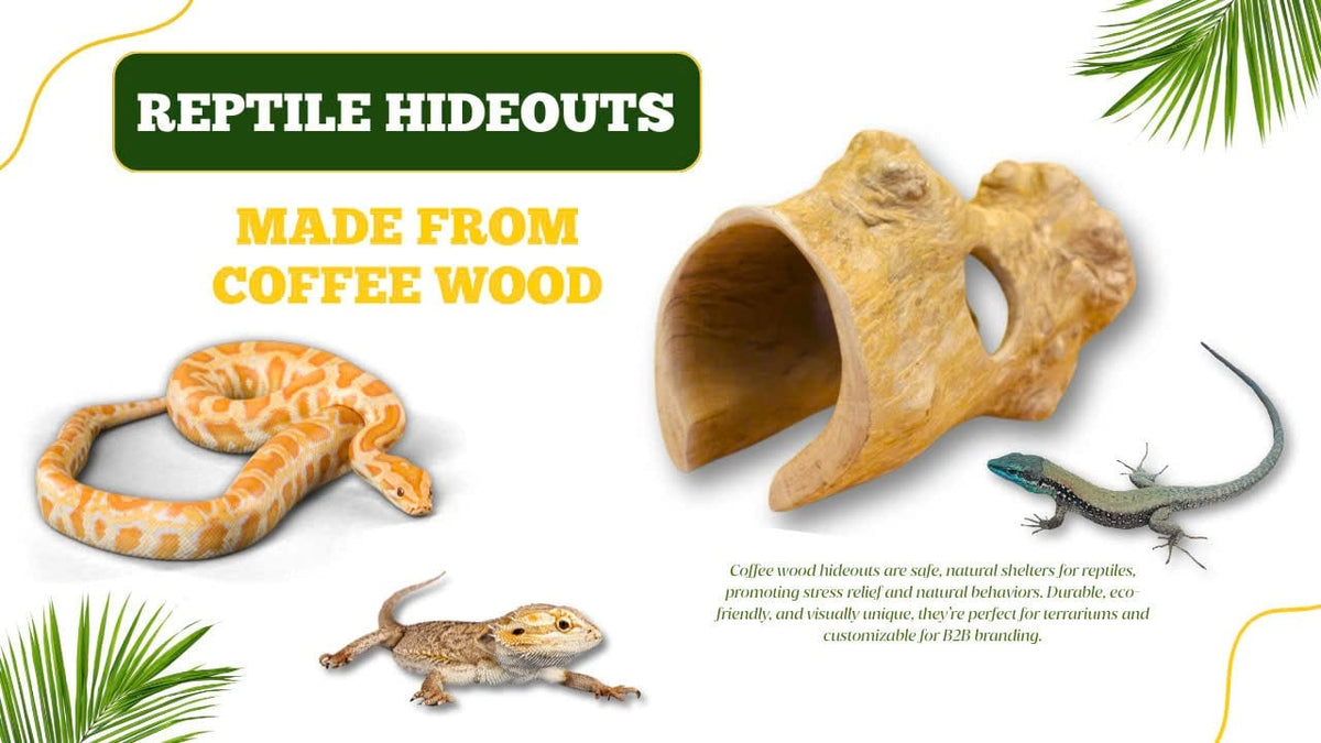 REPTILE HIDEOUTS COFFEE WOOD