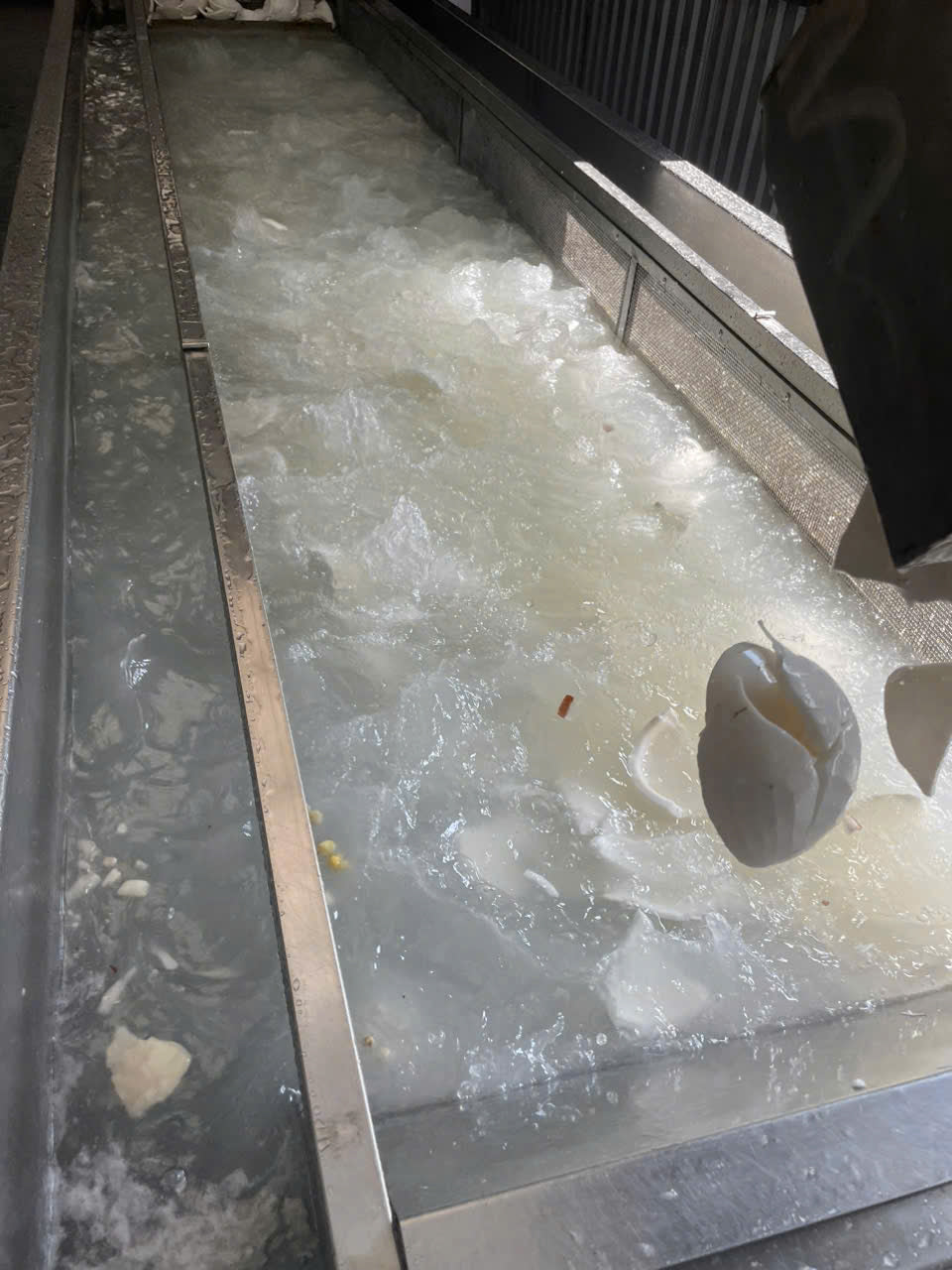 Frozen Coconut Meat