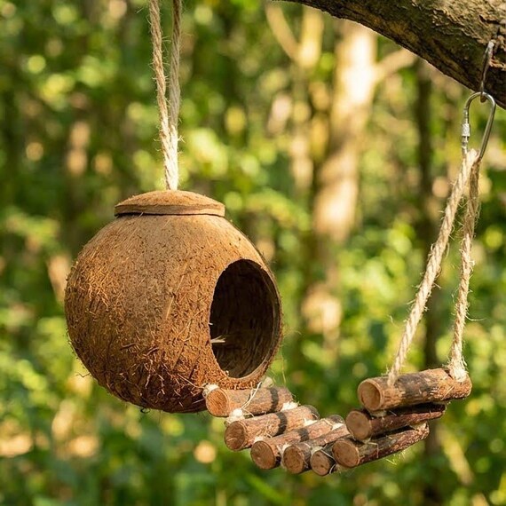 Coconut Pet House With Ladder