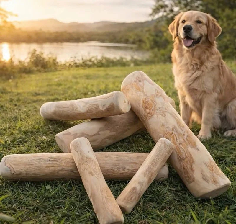 Coffee Wood Chew